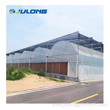 Commercial Plastic Film Tunnel Greenhouse for strawberry